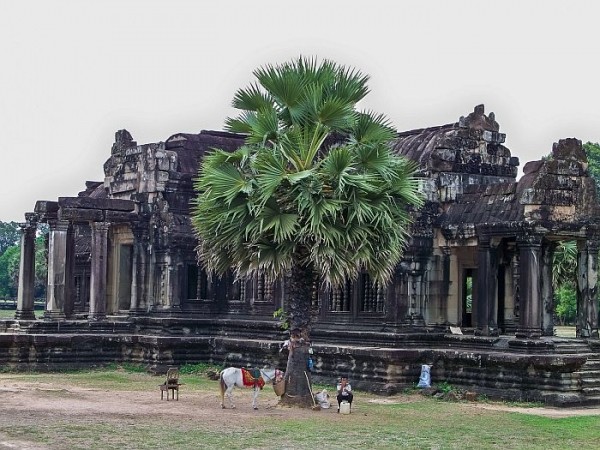 51f031d1fa4714de5361c81e9f99a2fd - Храмы Ангкор и Преахвихеа - объекты Всемирного наследия ЮНЕСКО в Камбодже