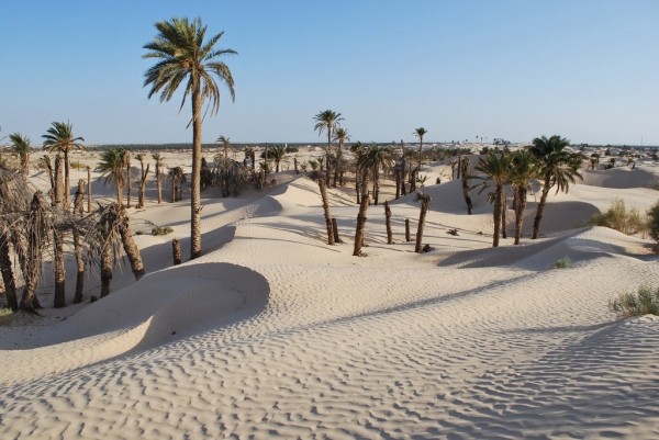 2a50cfad6740394ac97c4b4d371f9c7c - Почему Тунис  —  это не только пляжный отдых?